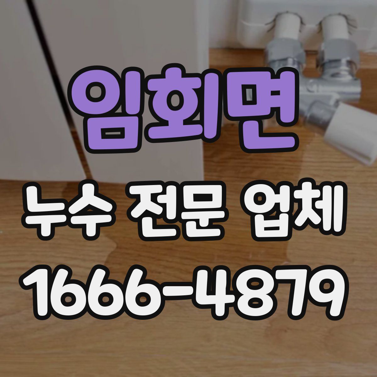 임회면 누수 전문 업체