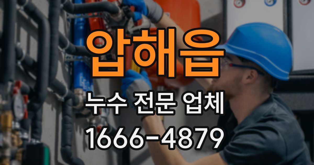 압해읍 누수 전문 업체
