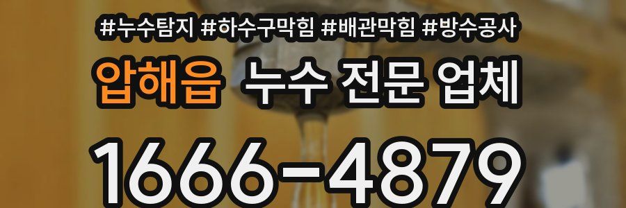 압해읍 누수 전문 업체