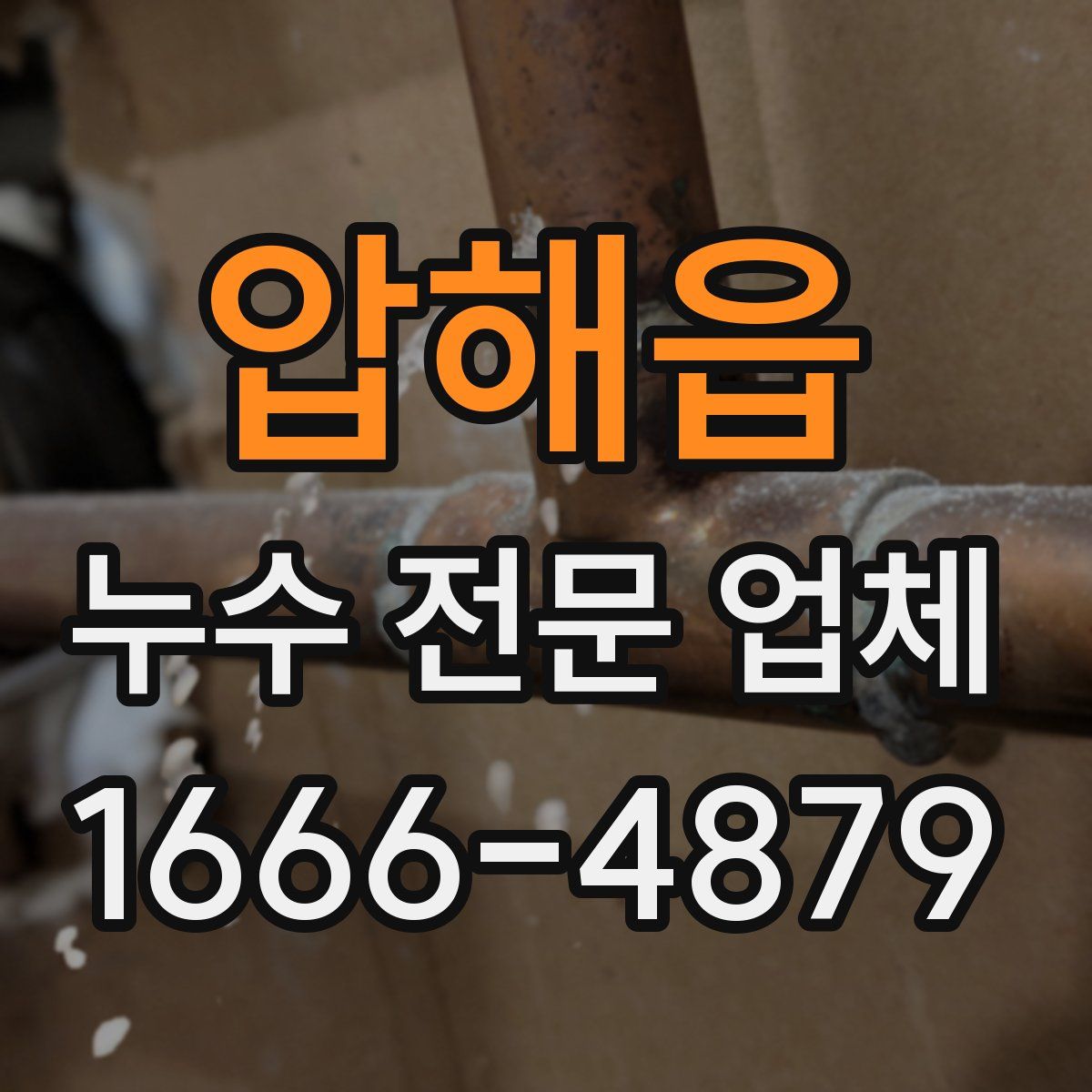 압해읍 누수 전문 업체