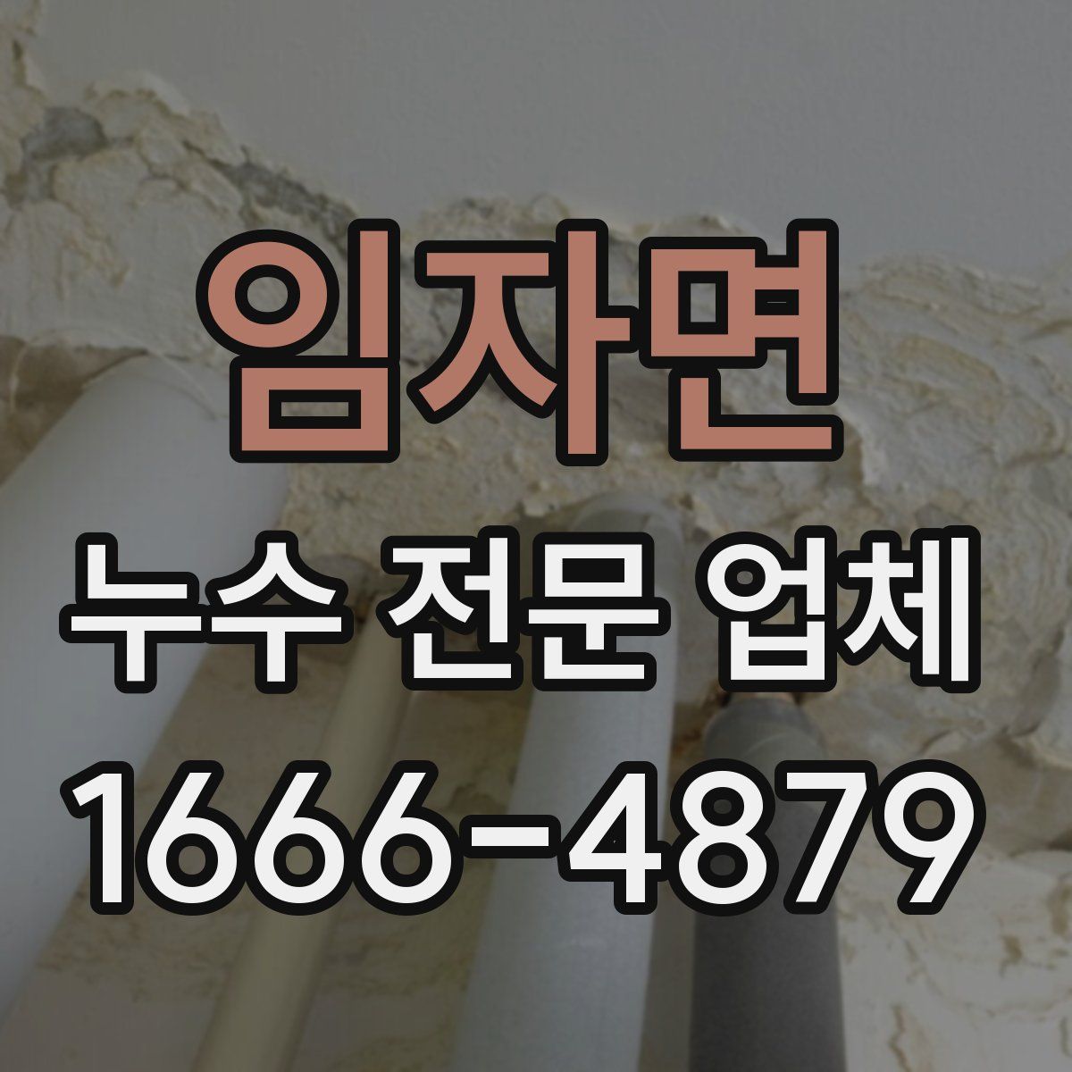 임자면 누수 전문 업체