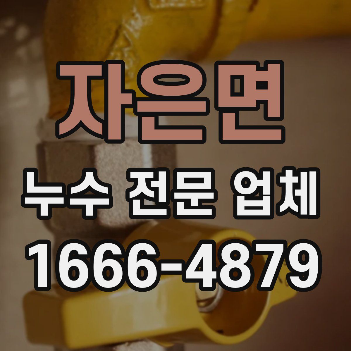 자은면 누수 전문 업체