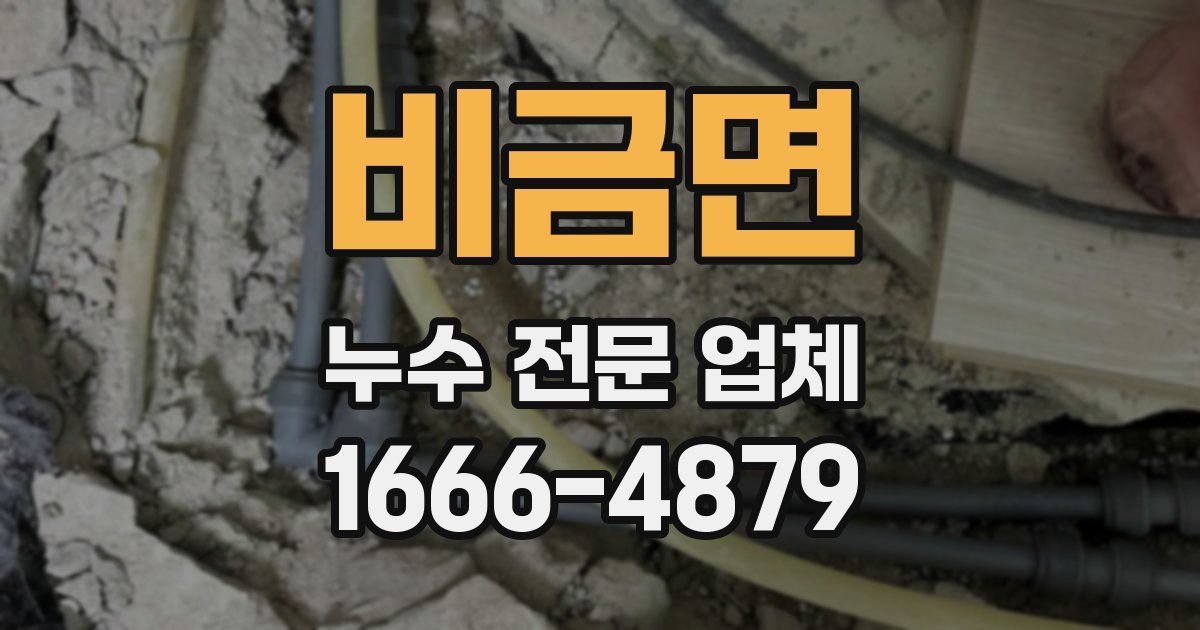 비금면 누수 전문 업체