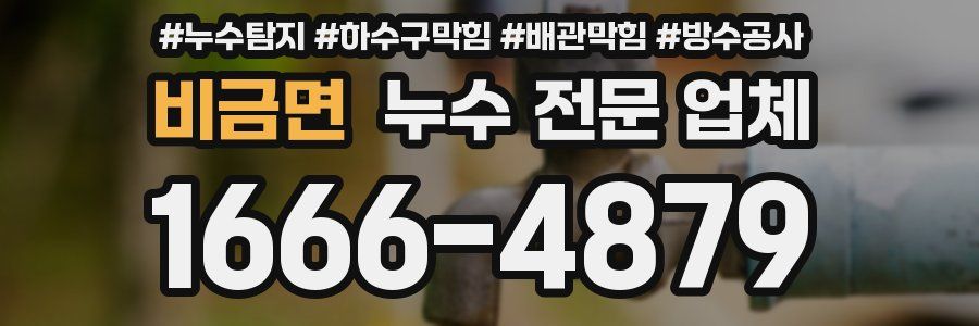 비금면 누수 전문 업체
