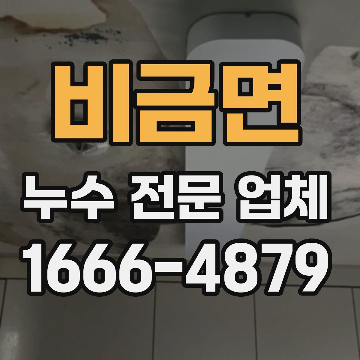 비금면 누수 전문 업체