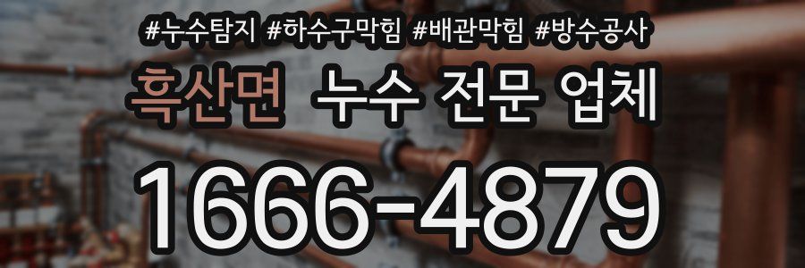 흑산면 누수 전문 업체