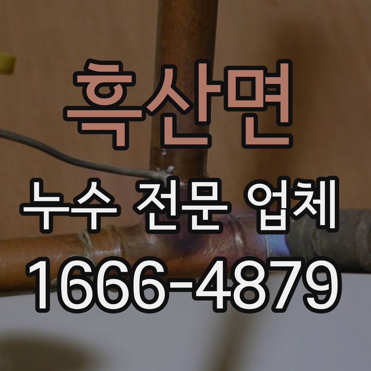 흑산면 누수 전문 업체