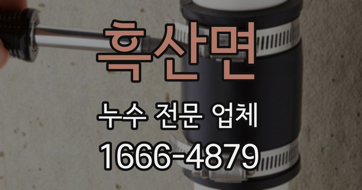 흑산면 누수 전문 업체