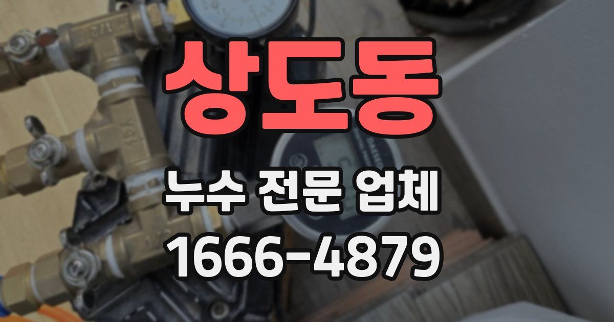 상도동 누수 전문 업체
