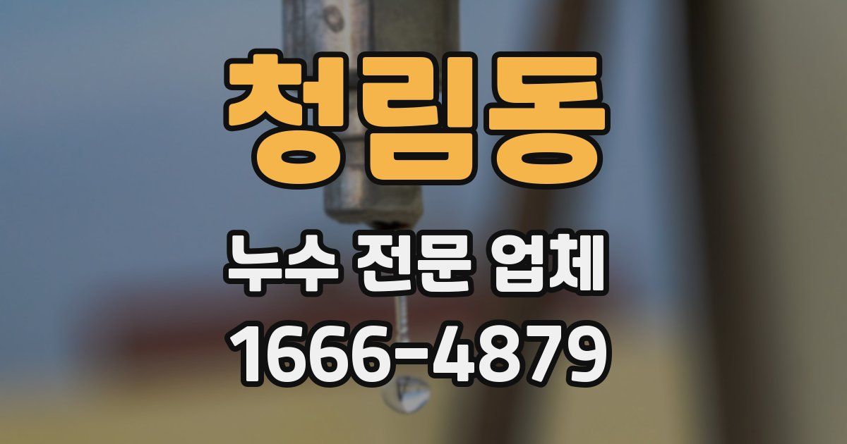 청림동 누수 전문 업체