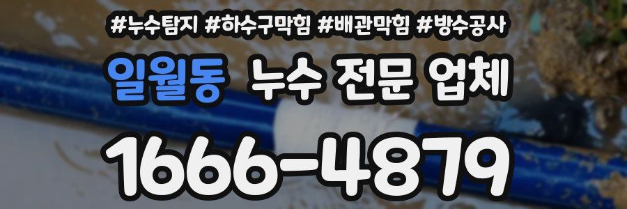 일월동 누수 전문 업체