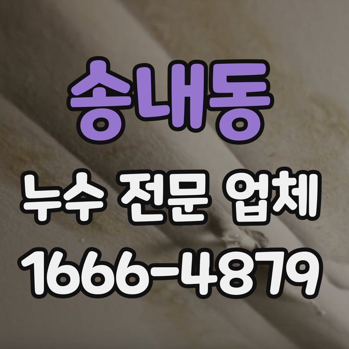 송내동 누수 전문 업체