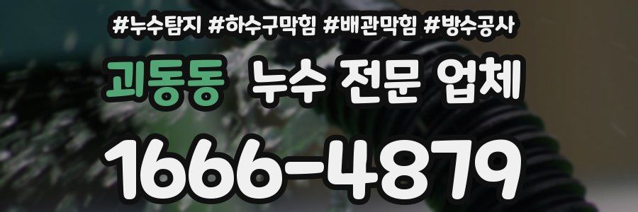 괴동동 누수 전문 업체