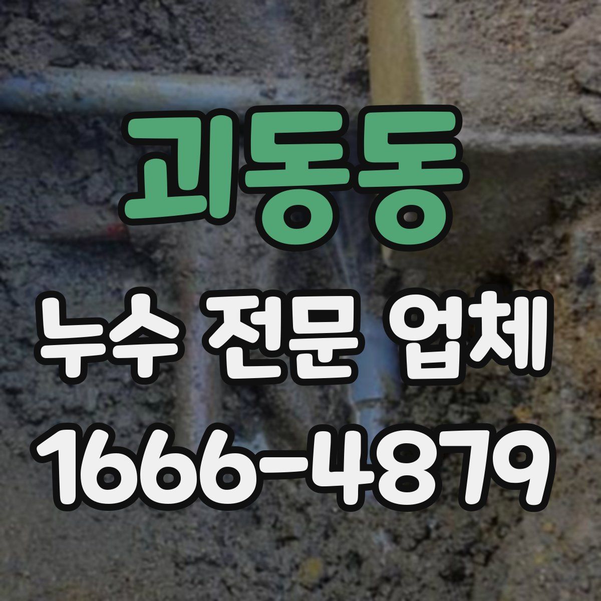 괴동동 누수 전문 업체