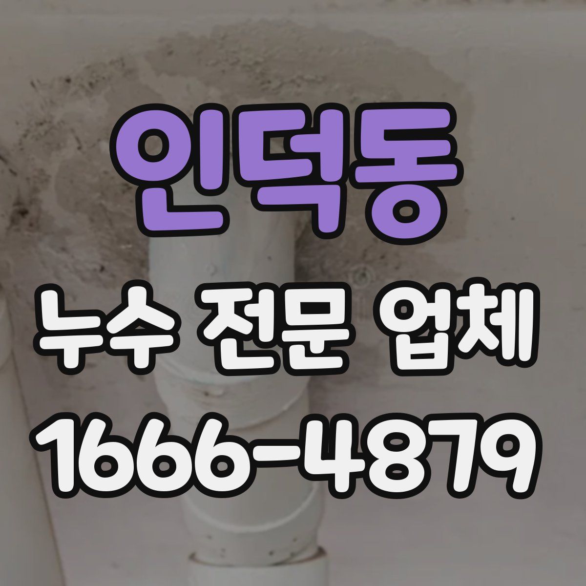 인덕동 누수 전문 업체