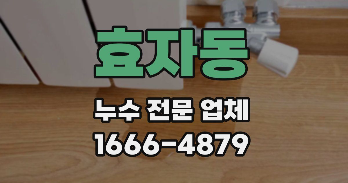 효자동 누수 전문 업체