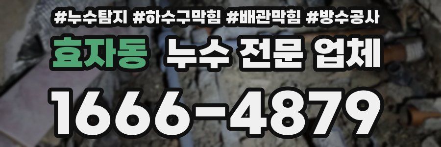 효자동 누수 전문 업체