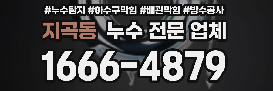 지곡동 누수 전문 업체