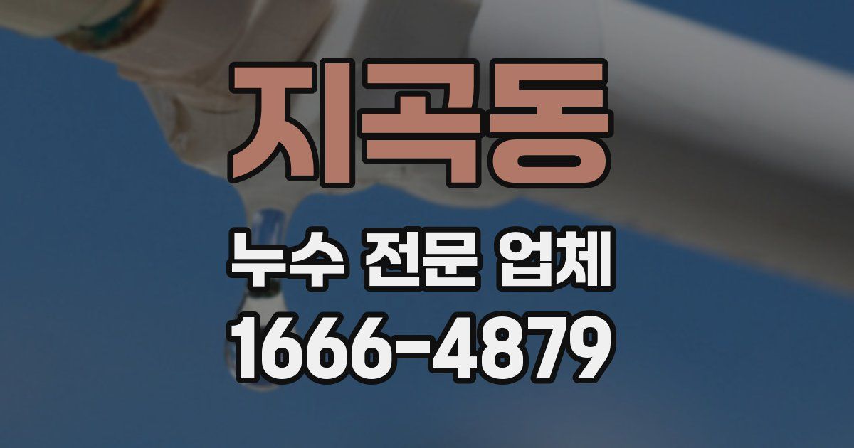 지곡동 누수 전문 업체