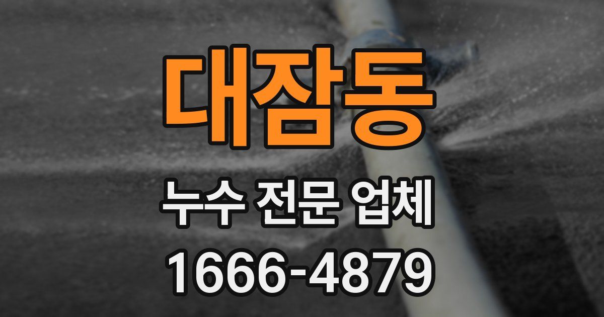 대잠동 누수 전문 업체