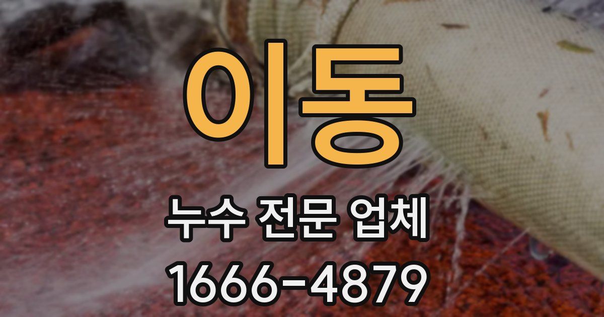 이동 누수 전문 업체