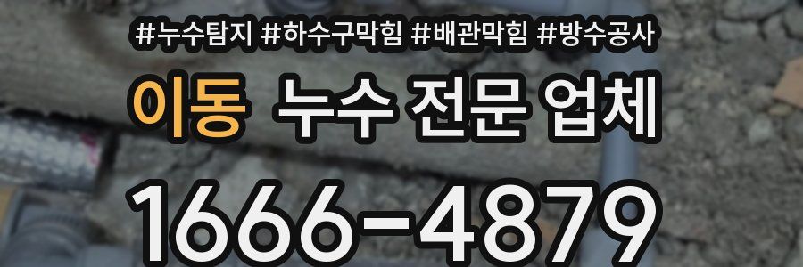 이동 누수 전문 업체