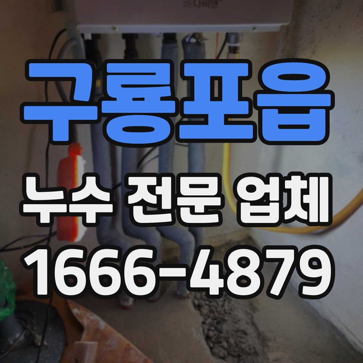 구룡포읍 누수 전문 업체