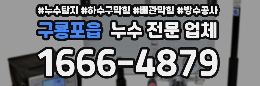 구룡포읍 누수 전문 업체
