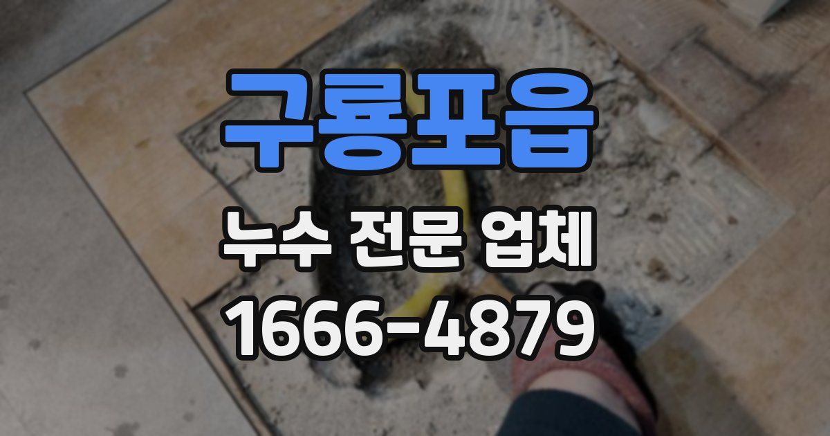 구룡포읍 누수 전문 업체
