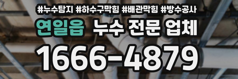 연일읍 누수 전문 업체