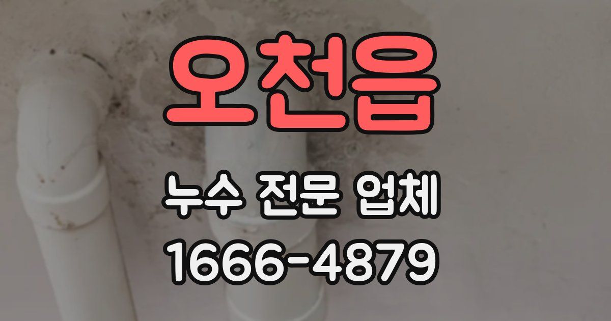 오천읍 누수 전문 업체