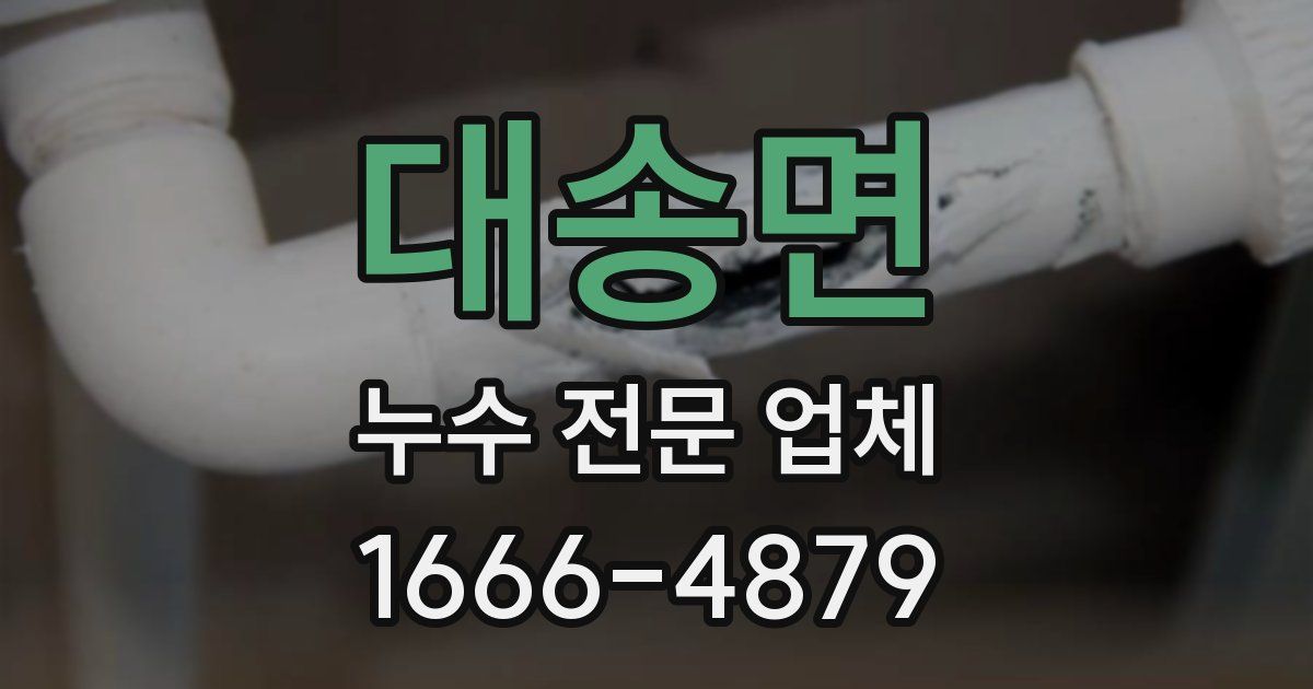 대송면 누수 전문 업체