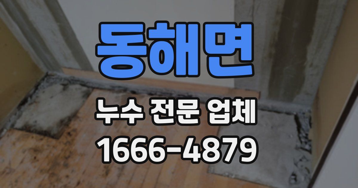 동해면 누수 전문 업체