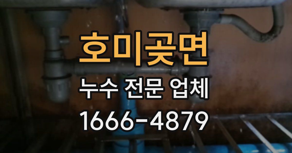 호미곶면 누수 전문 업체