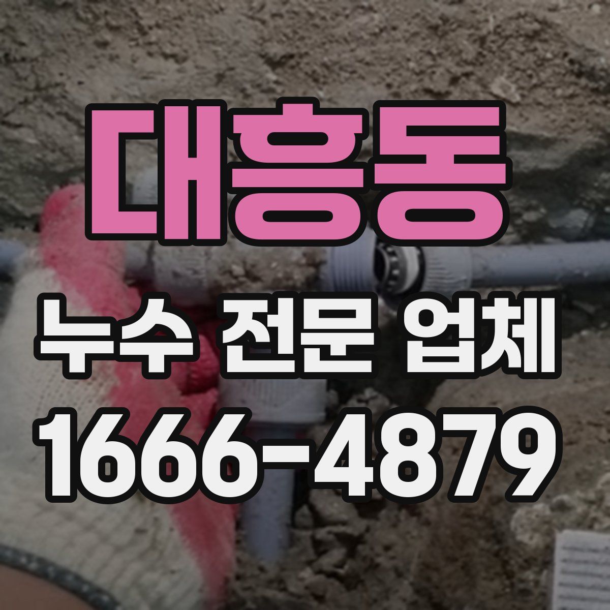 대흥동 누수 전문 업체