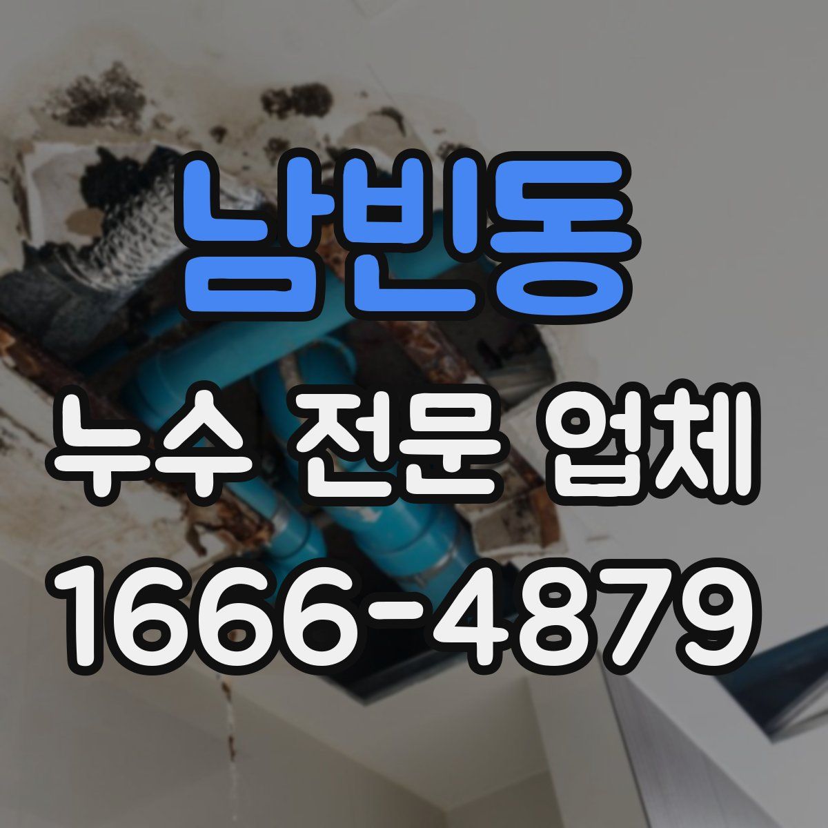남빈동 누수 전문 업체