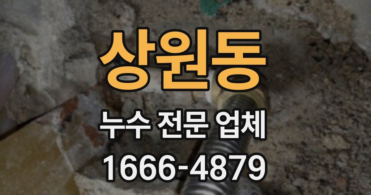 상원동 누수 전문 업체