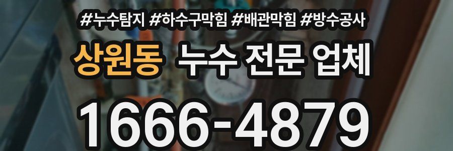 상원동 누수 전문 업체