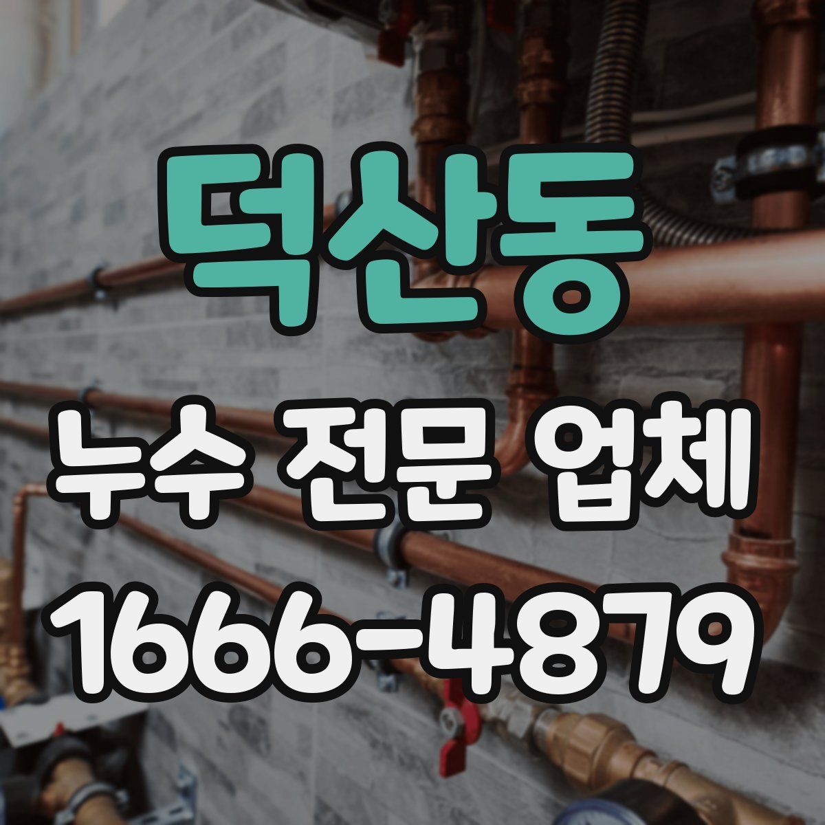 덕산동 누수 전문 업체