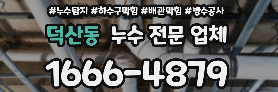 덕산동 누수 전문 업체