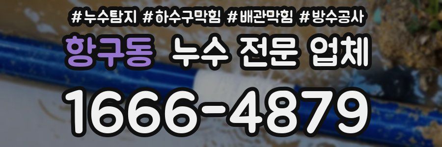 항구동 누수 전문 업체