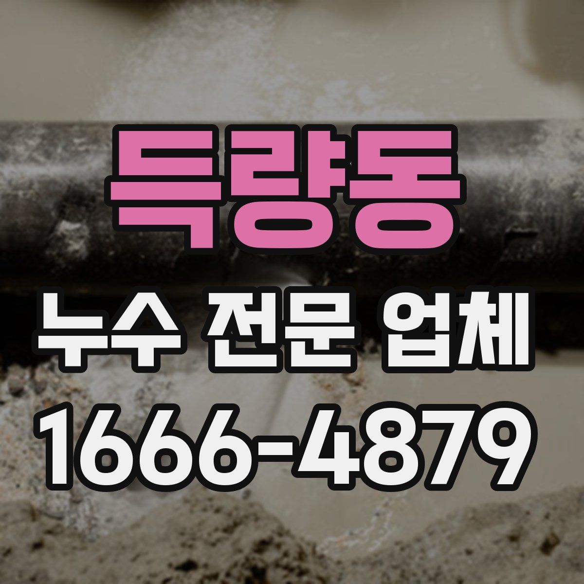 득량동 누수 전문 업체