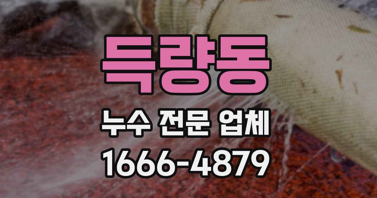 득량동 누수 전문 업체