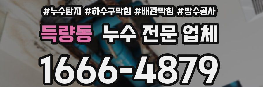 득량동 누수 전문 업체