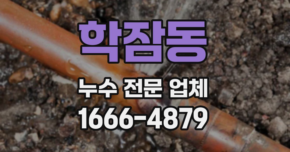 학잠동 누수 전문 업체