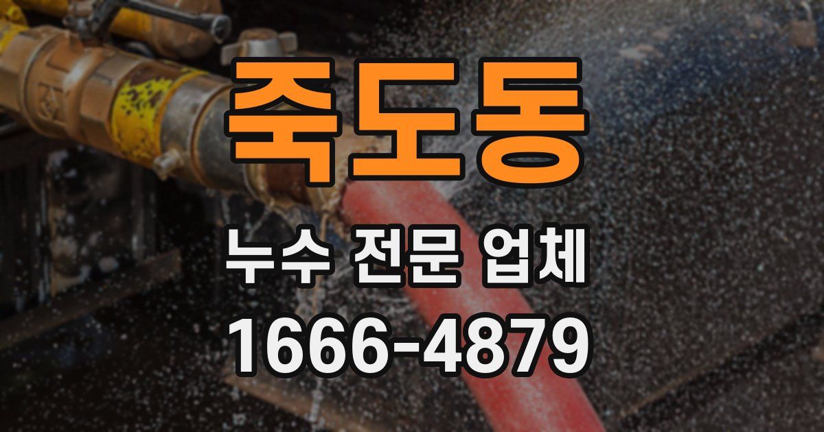 죽도동 누수 전문 업체
