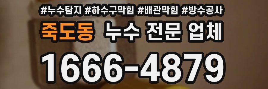 죽도동 누수 전문 업체