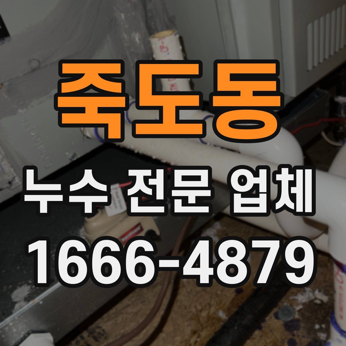 죽도동 누수 전문 업체