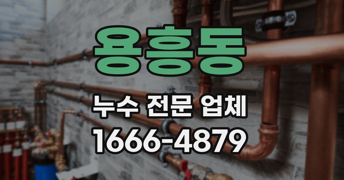 용흥동 누수 전문 업체