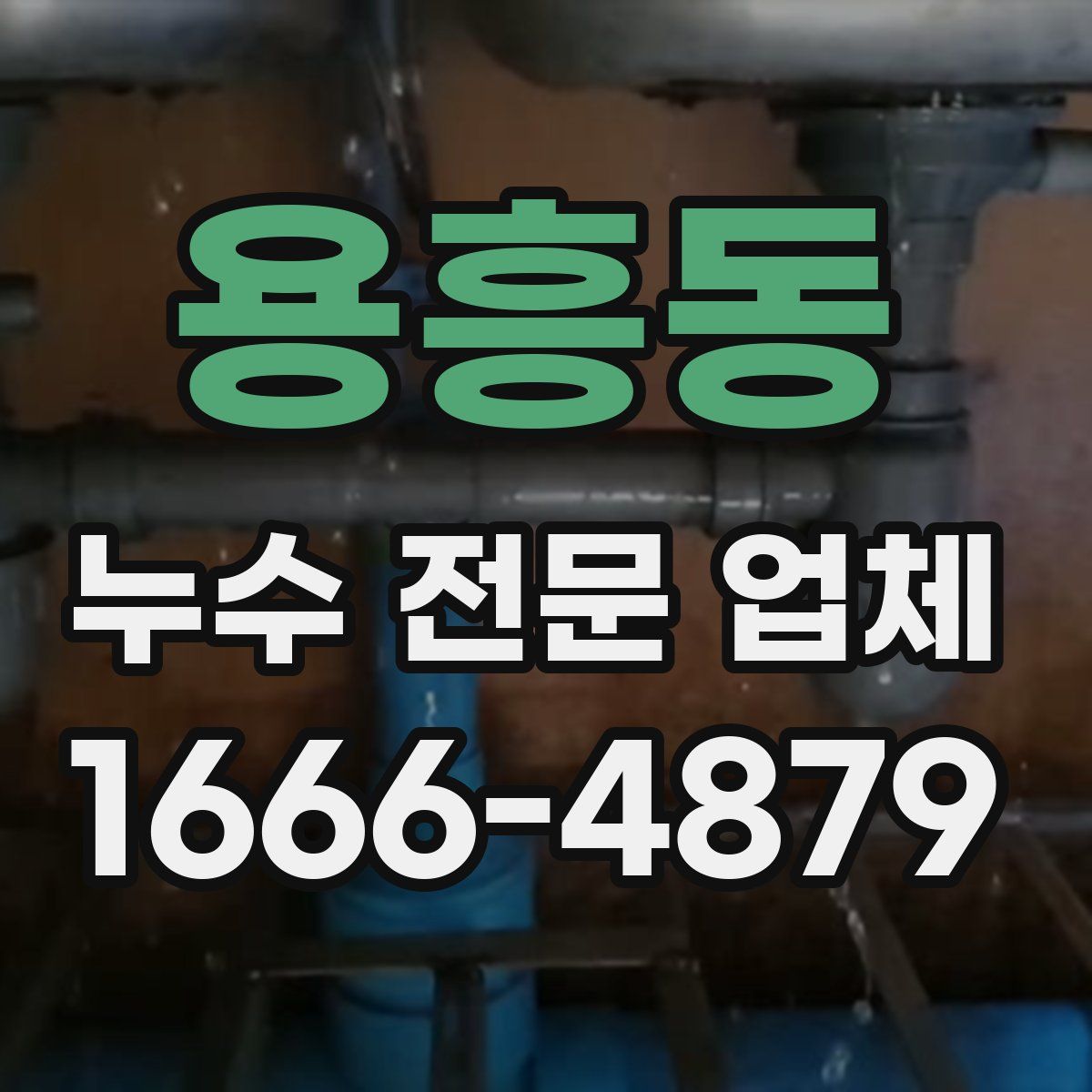 용흥동 누수 전문 업체